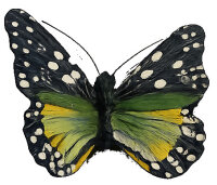 Donauklammer, messing, Motiv Schmetterling, 2 Stück